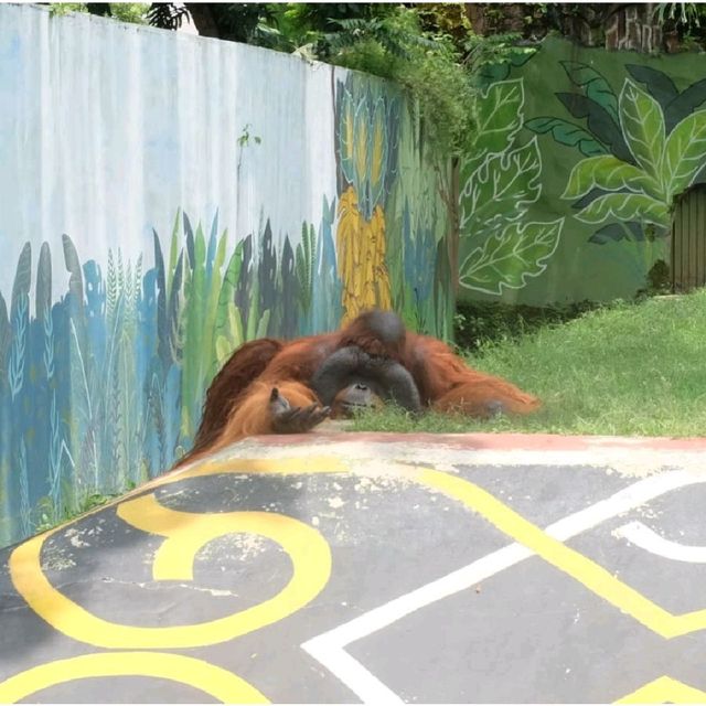 Surabaya's Zoo