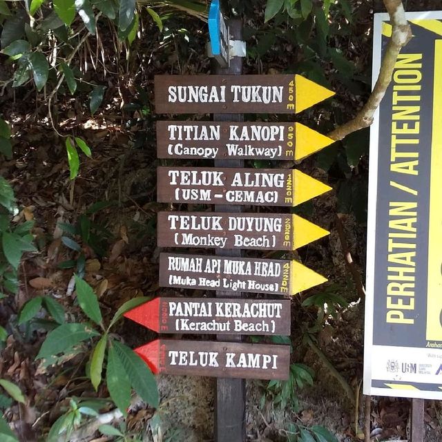 Penang National Park