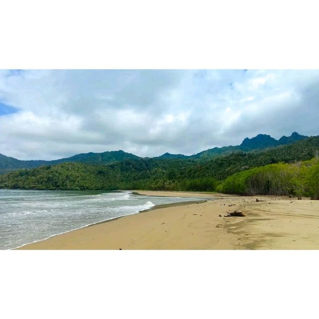 Natural Damas Beach