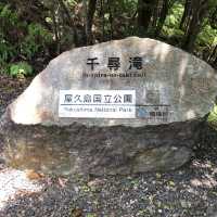 大川の滝(屋久島)