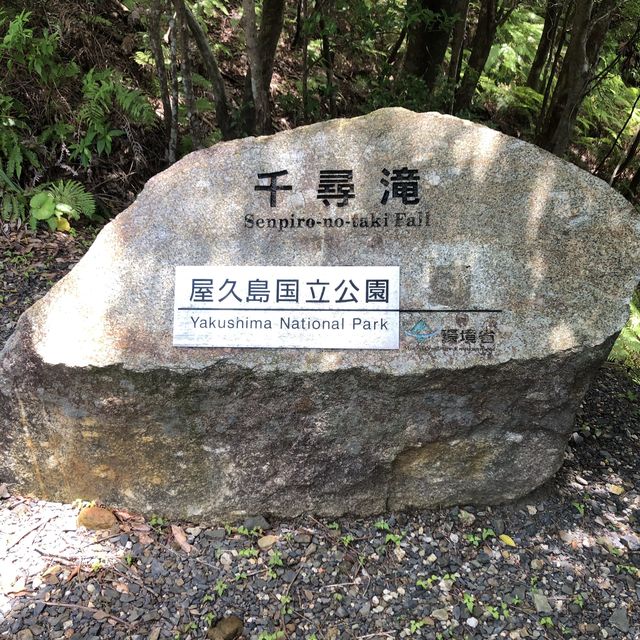 大川の滝(屋久島)