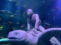 【愛知】シーライフ名古屋！レゴの水族館
