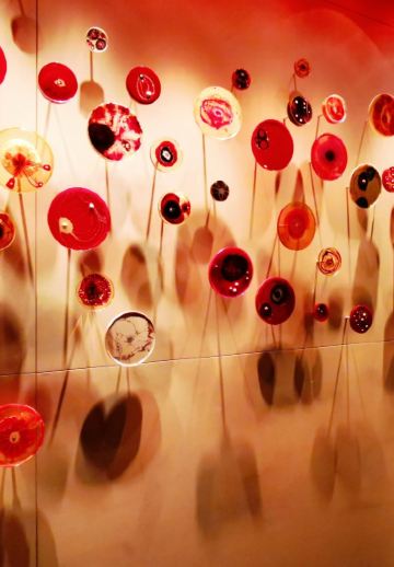 上海半島酒店·艾利爵士餐廳