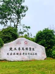 楚王車馬陣景區（熊家冢國家考古遺址公園）