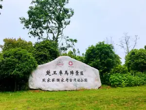 楚王車馬陣景區（熊家冢國家考古遺址公園）