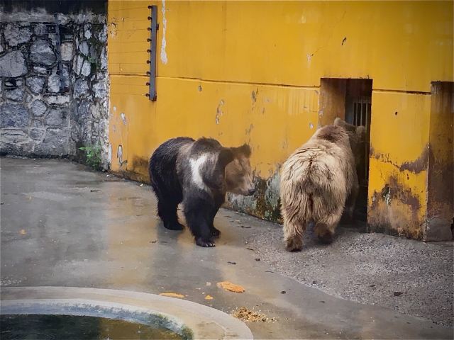 武漢動物園