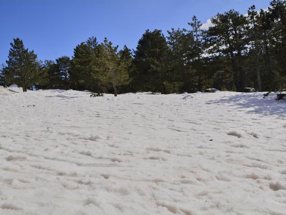 北海道立真駒内公園