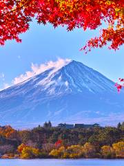 山梨県立富士山世界遺産センター