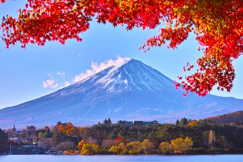 일본 도쿄 후지산 당일여행 [호텔 픽업 가능 / 후지산 5합목 / 오시노 핫카이 / 로손 편의점 / 히카와 시계 선택 사항 ]