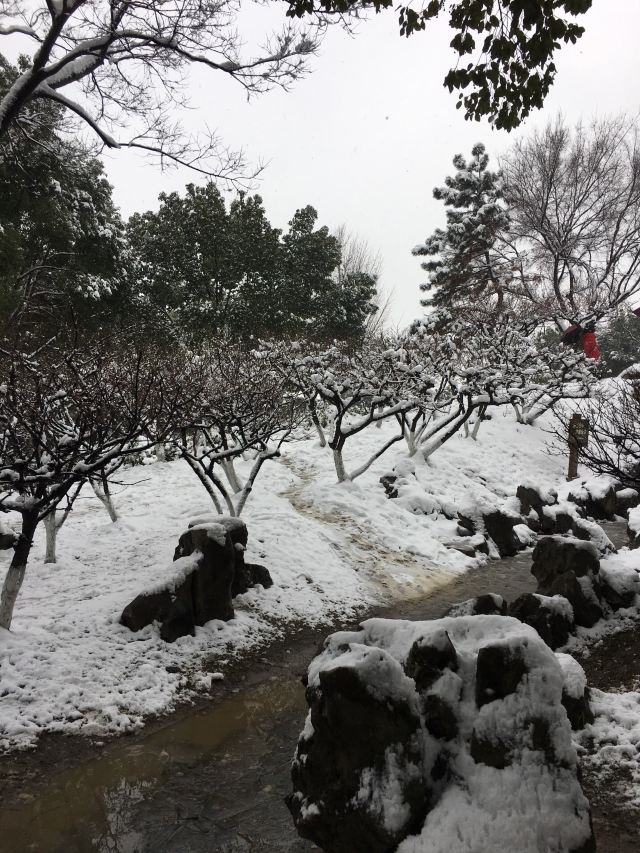 판먼