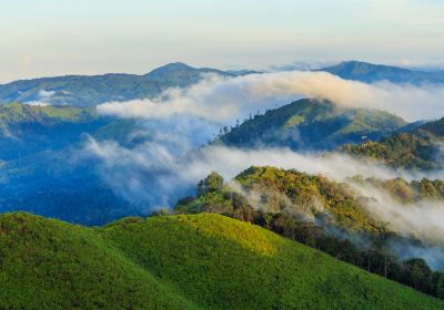 Amphoe Thong Pha Phum