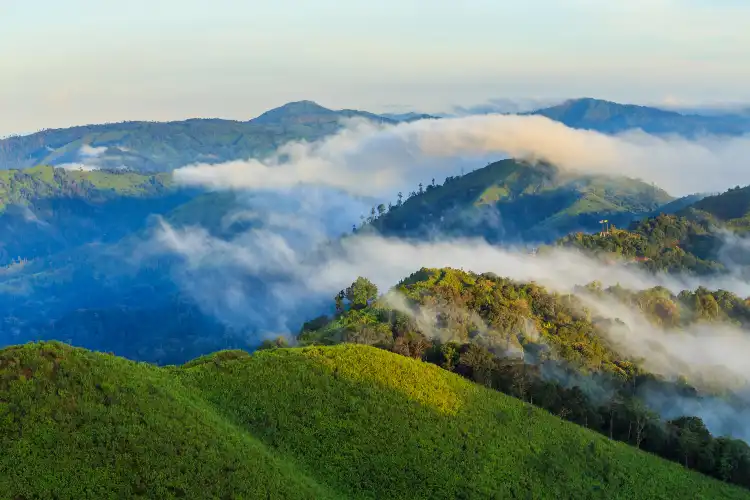 Thong Pha Phum
