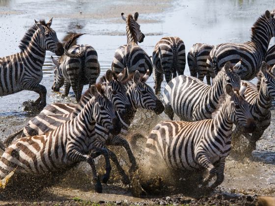 Serengeti National Park