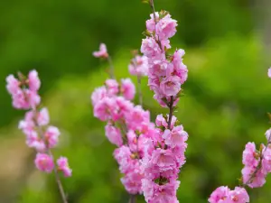 玉環漩門灣濕地公園