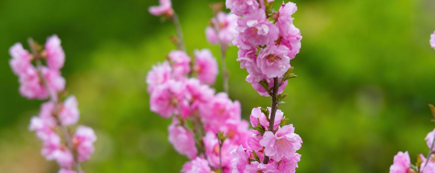 위환쉬안먼 습지공원