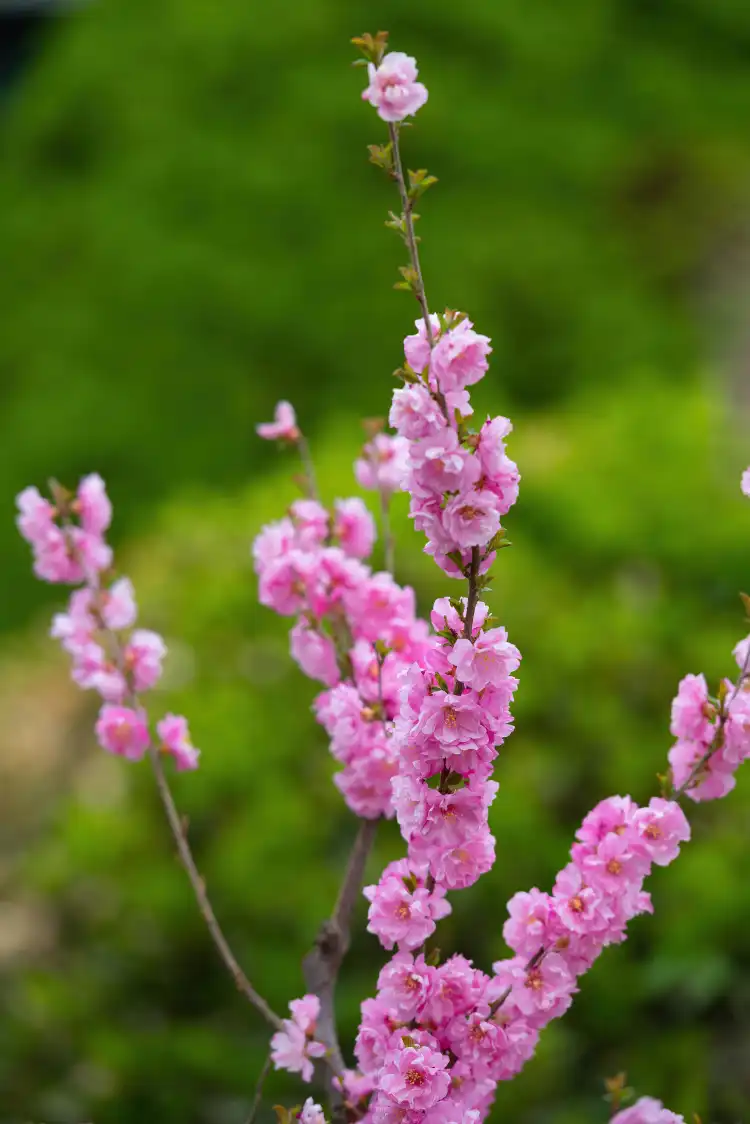 Hotels near Yuhuan Xuanmen Bay National Wetland Park