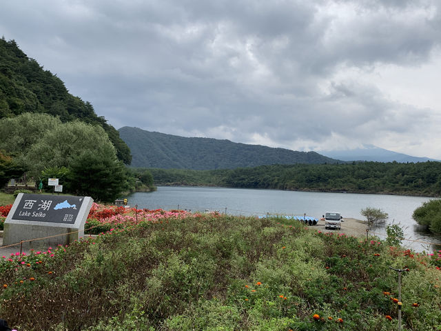 山梨県　西湖