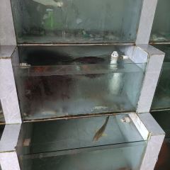 后隆海鲜阁 User Photo