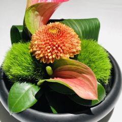 成隆行·颐丰花园(虹桥店) User Photo