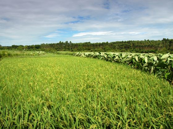 Bangtangcun