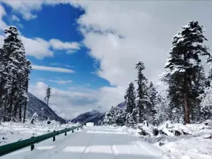 Cuo Mu Ji Ri