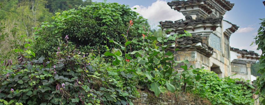 Shangping Ancient Village