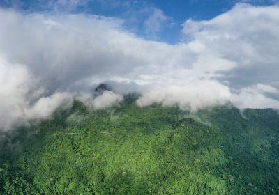 리무산 삼림공원