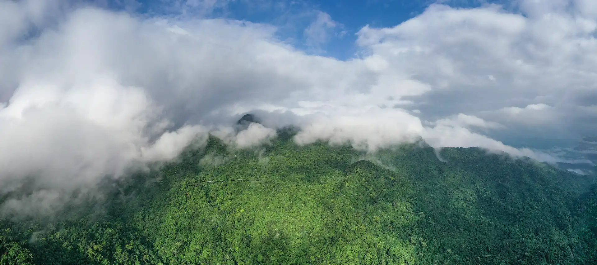Hotels near Limu Mountain Forest Park