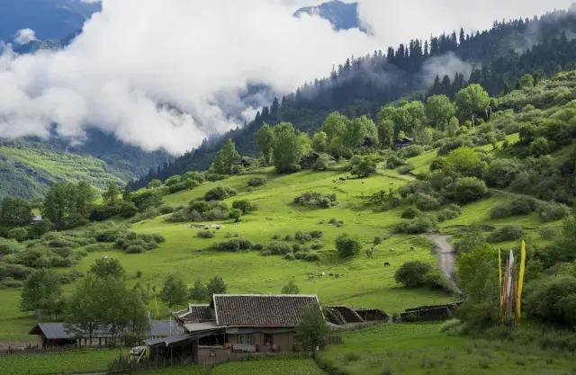 Aba Hiking Experience