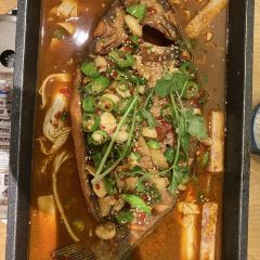 TAN YU HUA DOU LAI YOU LAI DIAN User Photo