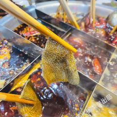 香莱鸡汤火锅 User Photo