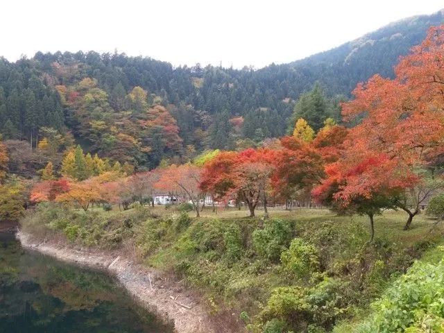도쿄여행
