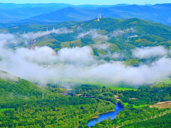 巴林林業局喇嘛山林場