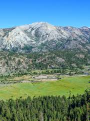 Humboldt-Toiyabe National Forest