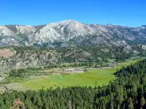 Bosque nacional Humboldt-Toiyabe