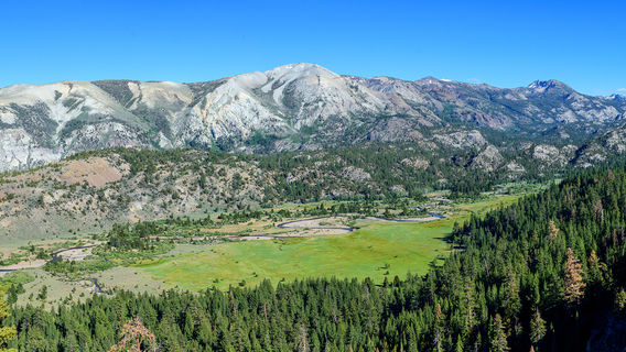 Humboldt-Toiyabe National Forest