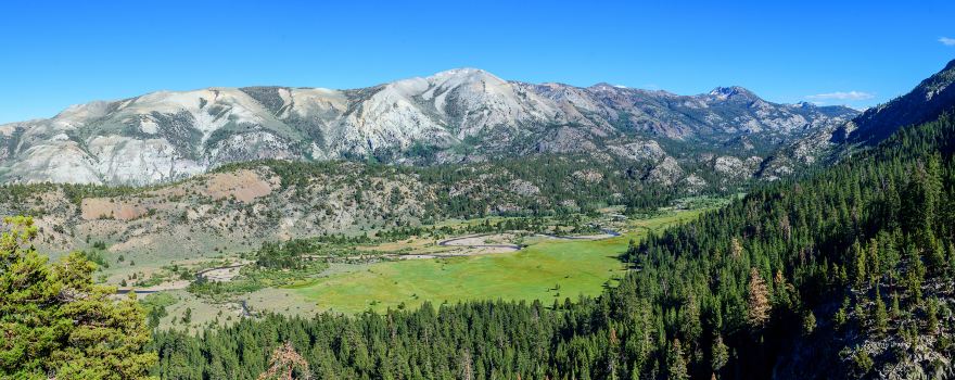 Forêt nationale d'Humboldt-Toiyabe