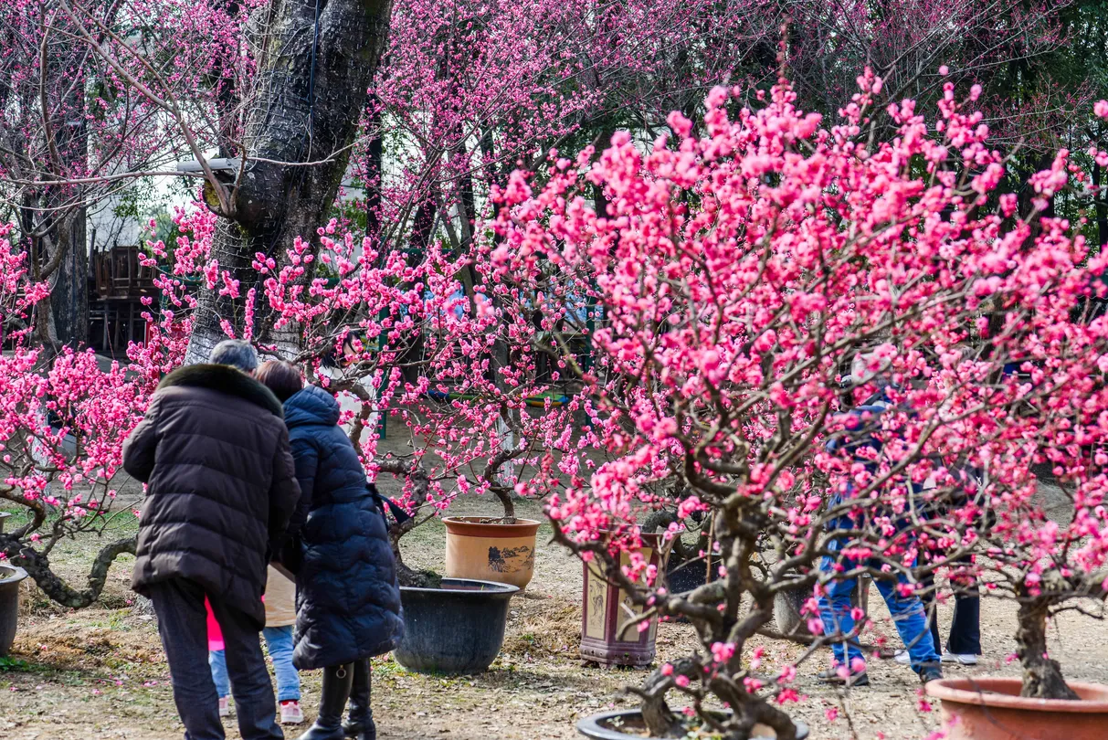 3_Oriental Beauty Park