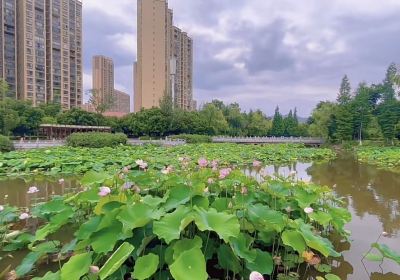 Fumin Wetland Park