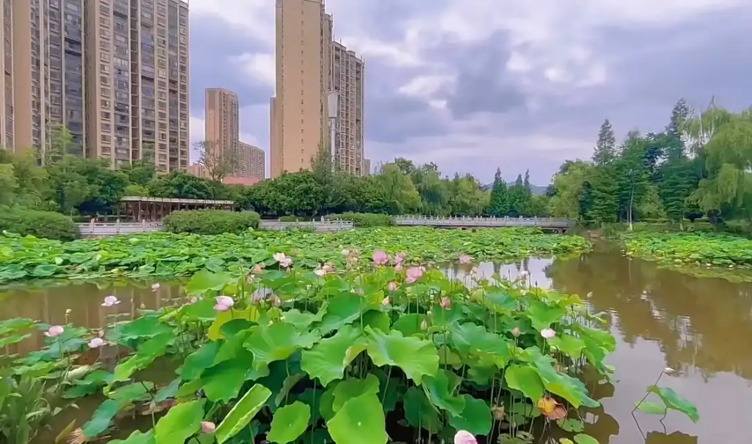 Hotels near Fumin Wetland Park