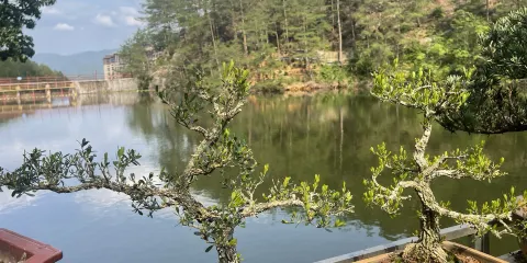 森態源休閑山莊