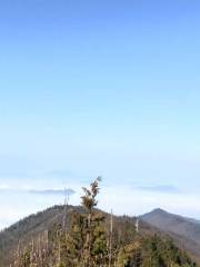 Jiufufeng Forest Park