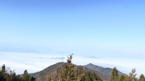 Jiufufeng Forest Park