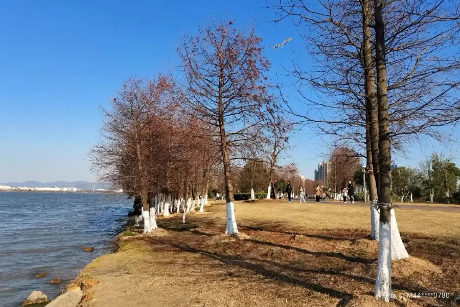 Xuanmenwan Guojia Shidi Gongyuan-Ditan Art Park