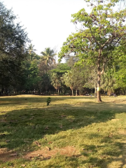 Aamrai Garden