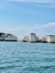 Purbeck Heritage Coast