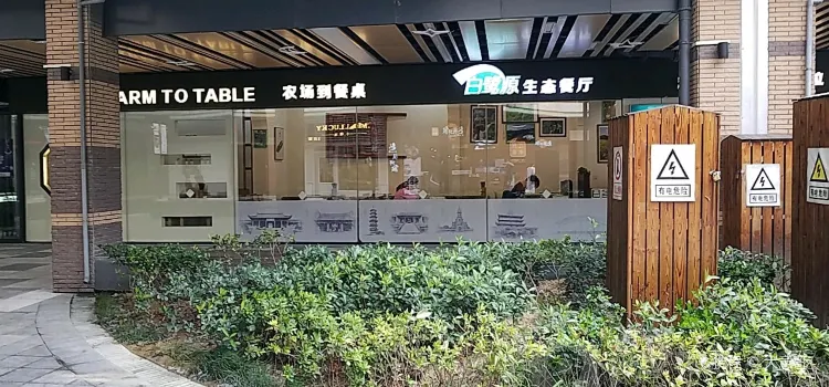 白鷺源生態餐廳(東岸裡店)
