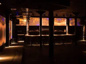 蘇黎世10大夜店