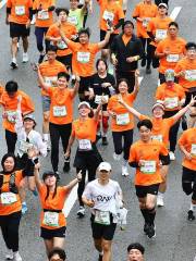 JTBC Seoul International Marathon 2024