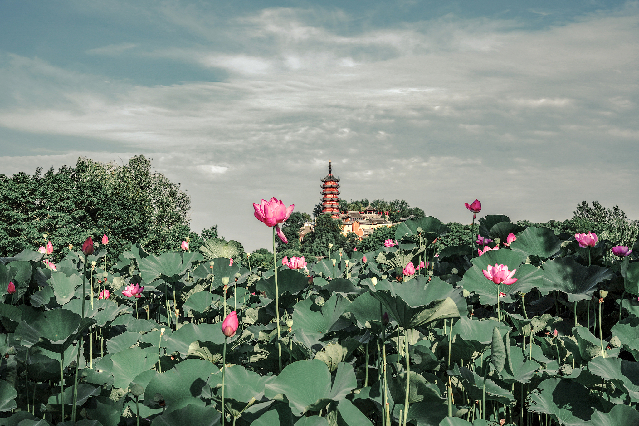 Must-see Attractions